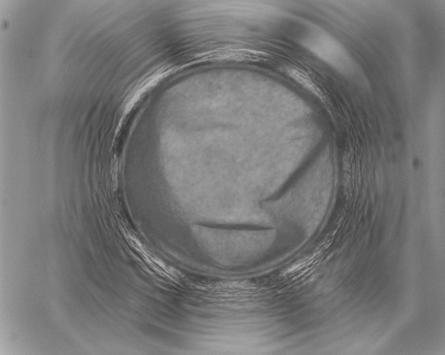 X0000058121067200510171304