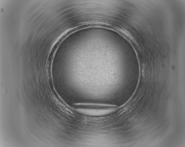 X0000058121068200510171304