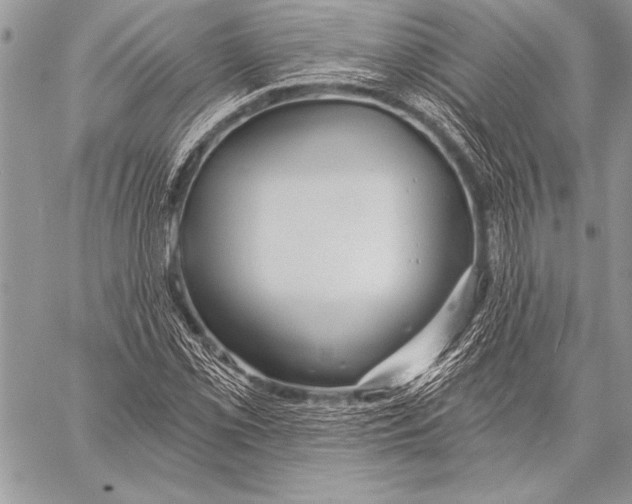 X0000058121069200510171304