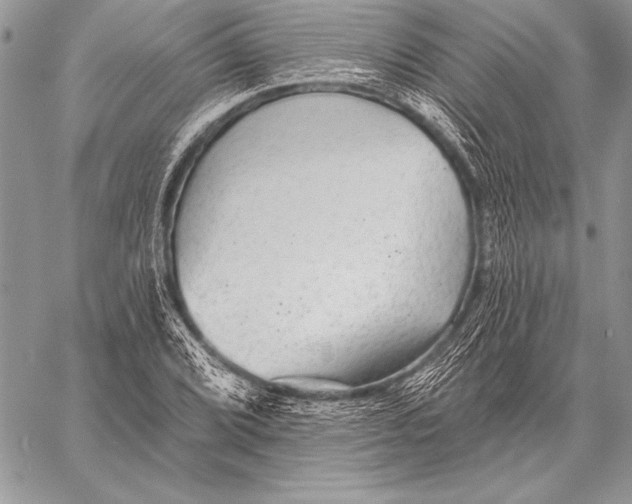 X0000058121072200510171304