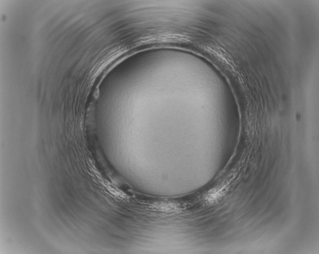 X0000058121073200510171304