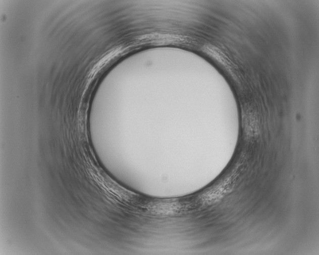 X0000058121074200510171304