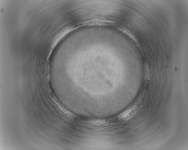 X0000058121075200510171304