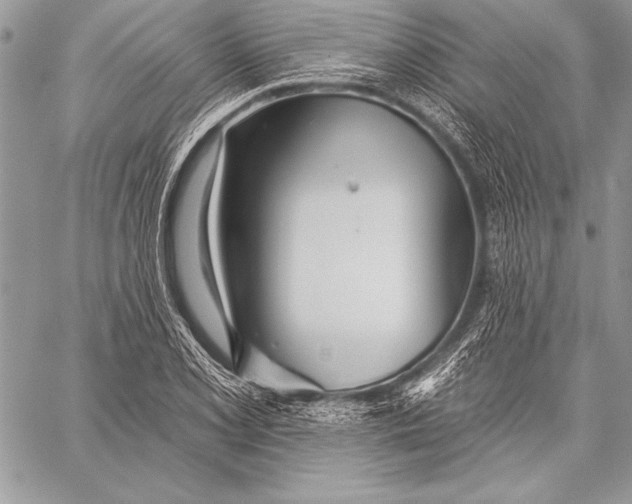 X0000058121077200510171304