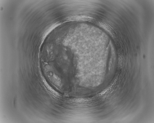 X0000058121079200510171304