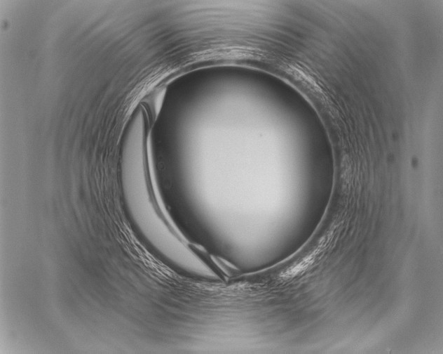 X0000058121081200510171304