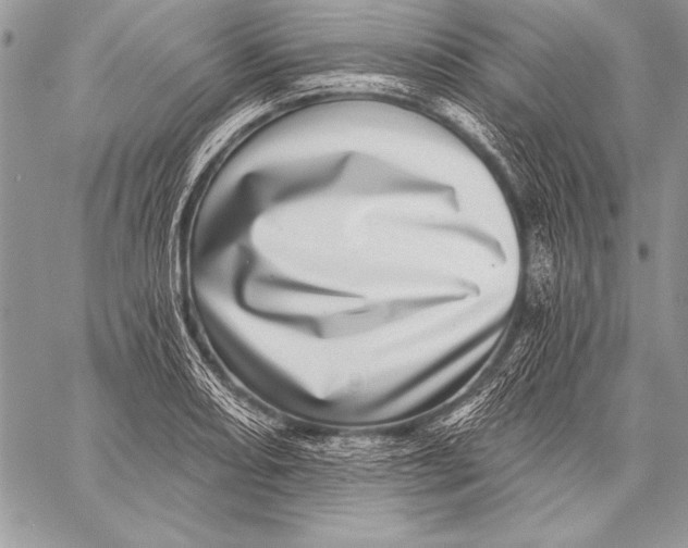 X0000058121082200510171304