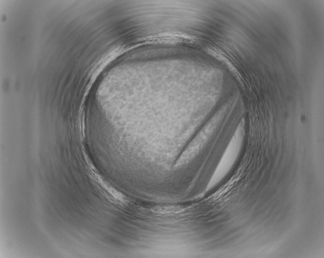 X0000058121083200510171304