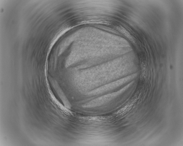 X0000058121084200510171304