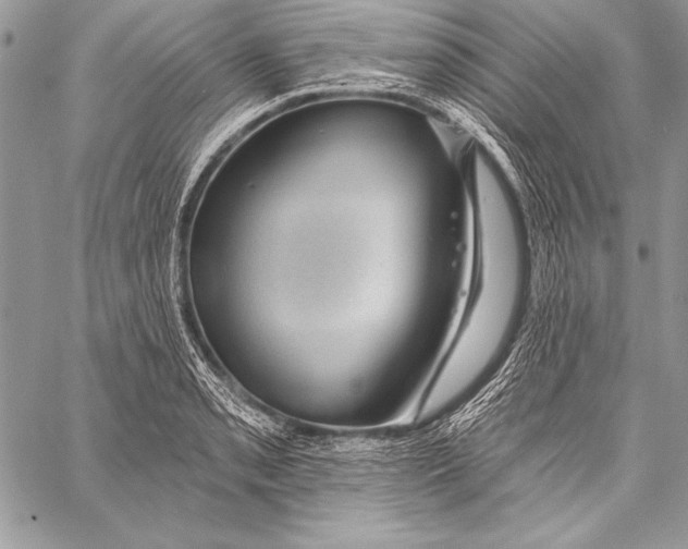 X0000058121085200510171304