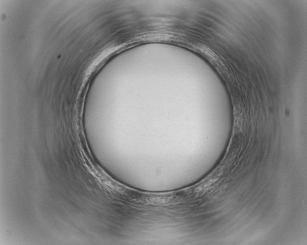 X0000058121086200510171304