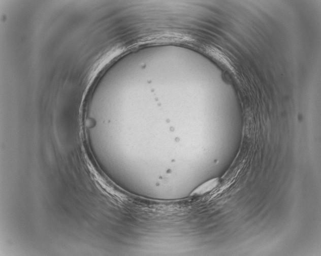 X0000058121087200510171304