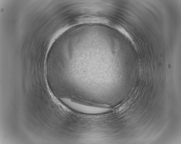 X0000058121088200510171304