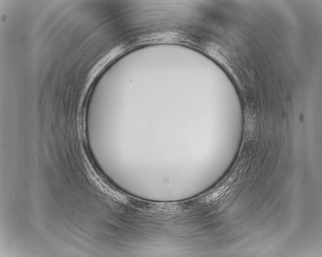 X0000058121090200510171304