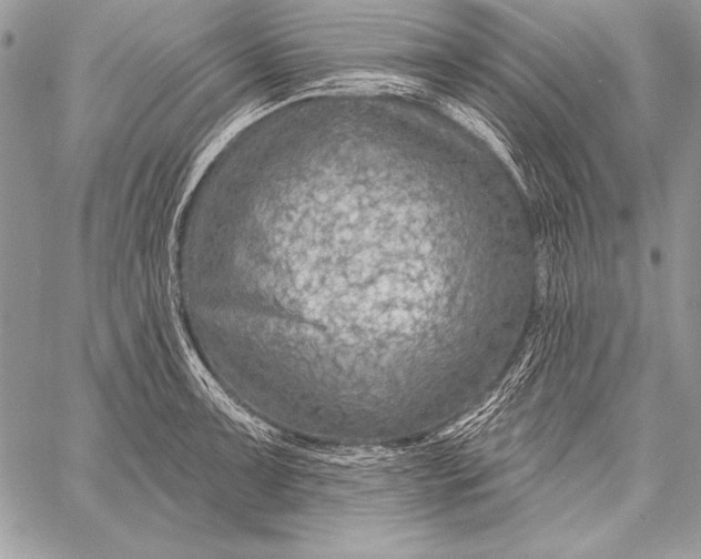 X0000058121091200510171304