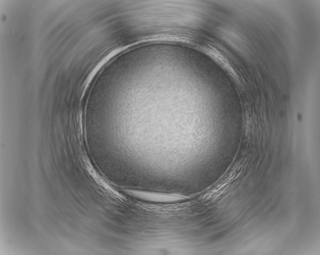 X0000058121092200510171304