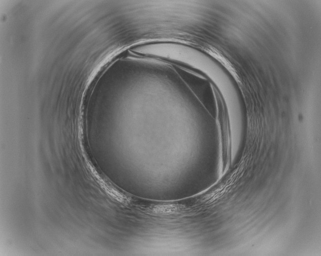 X0000058121093200510171304