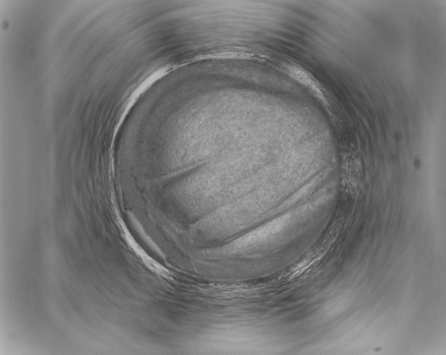 X0000058121095200510171304