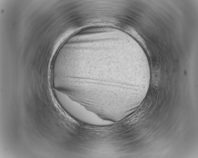 X0000058121096200510171304