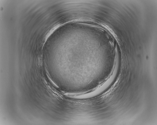 X0000058121097200510171304