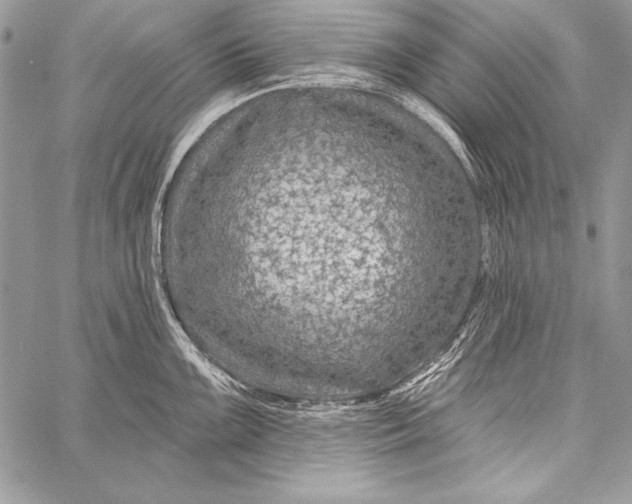 X0000058121099200510171304