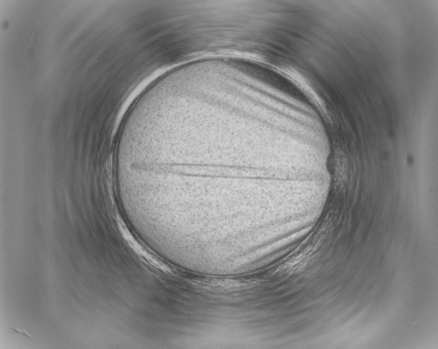 X0000058121100200510171304