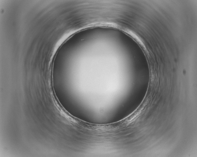 X0000058121102200510171304