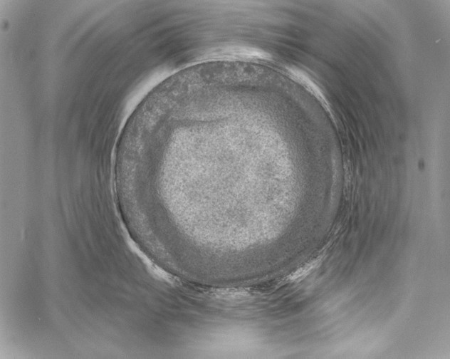 X0000058121103200510171304