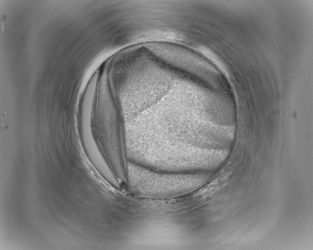 X0000058121104200510171304