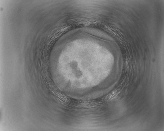 X0000058121105200510171303