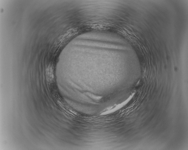 X0000058121106200510171303