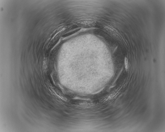 X0000058121107200510171303