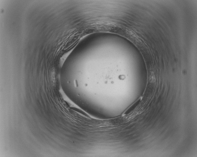 X0000058121108200510171303