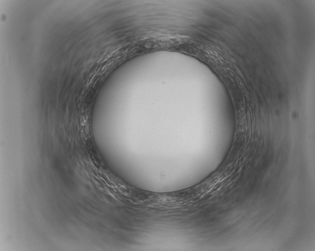 X0000058121109200510171303