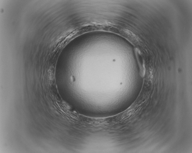 X0000058121110200510171303