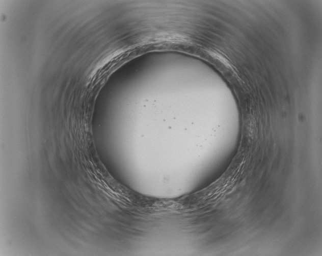 X0000058121112200510171303