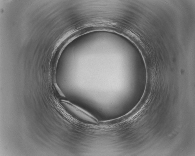 X0000058121114200510171303