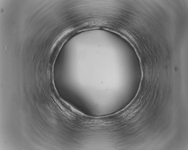 X0000058121115200510171303