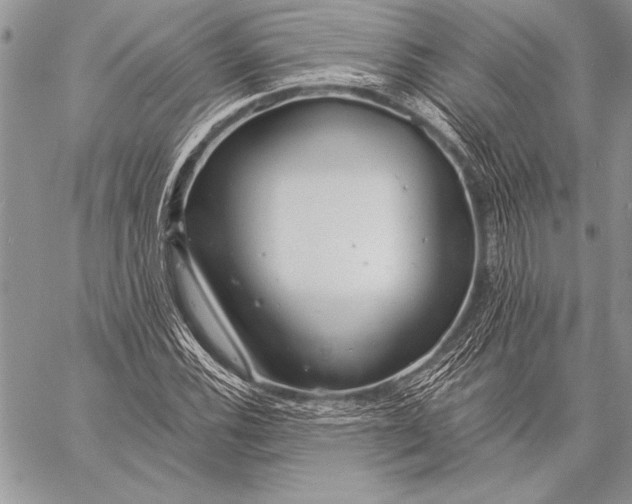 X0000058121116200510171303