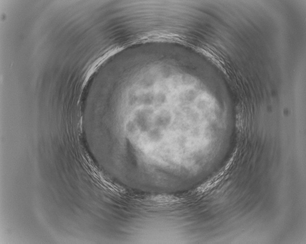 X0000058121117200510171303