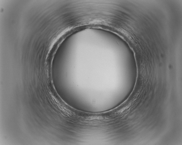 X0000058121118200510171303