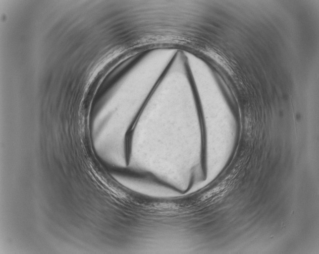 X0000058121119200510171303