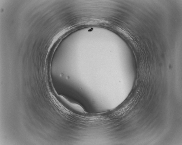 X0000058121122200510171303