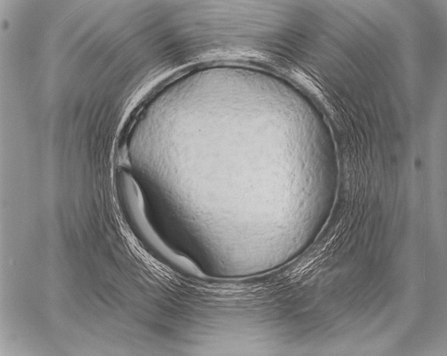 X0000058121124200510171303