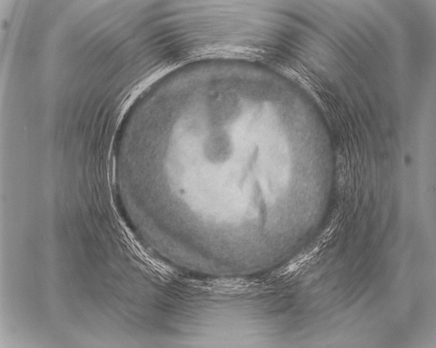 X0000058121125200510171303