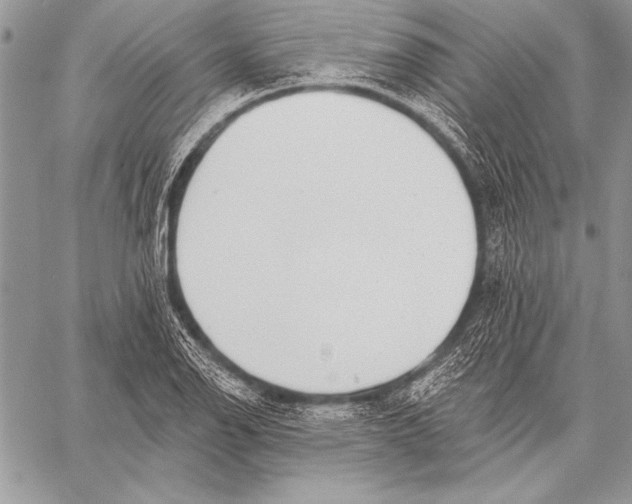 X0000058121126200510171303