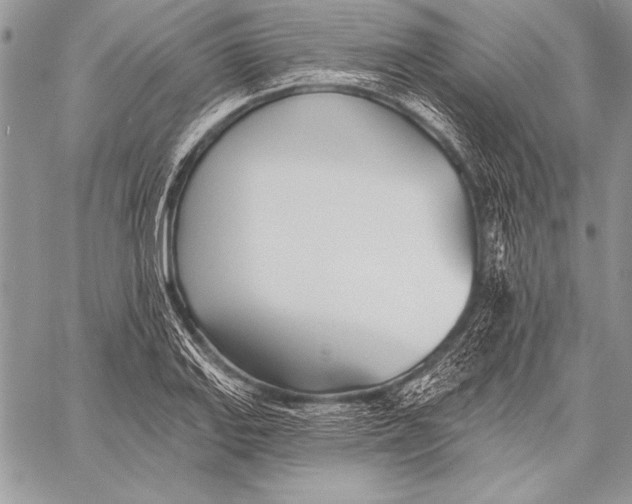 X0000058121127200510171303