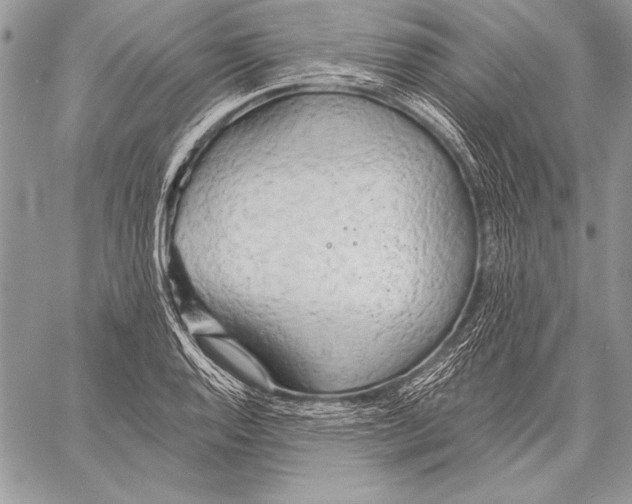 X0000058121128200510171303