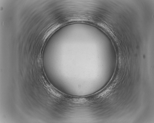 X0000058121129200510171303