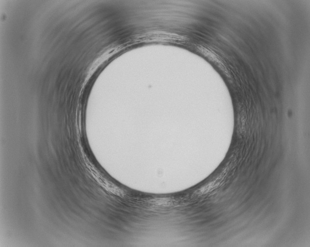 X0000058121130200510171303